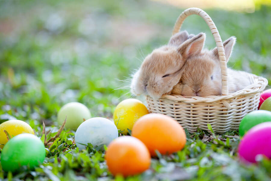 Why is Easter Always on a Different Day?
