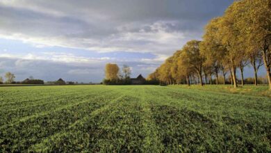 The Role of Lands to Water Availability: What the Research Reveals