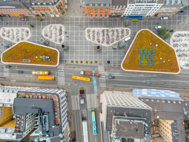 Top 5 Effects of Urbanization on Biodiversity