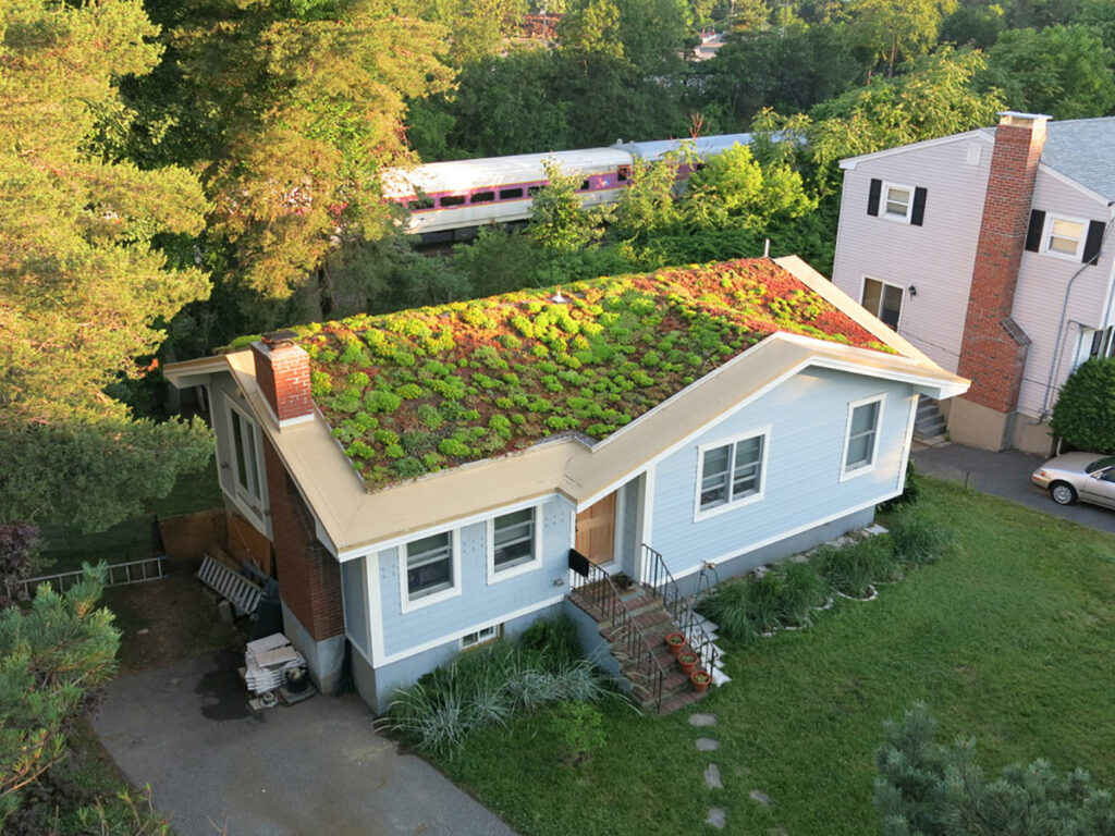 recover green roofs