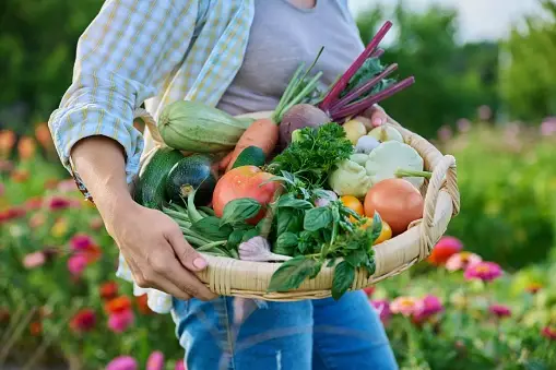 istockphoto 1413039015 170667a